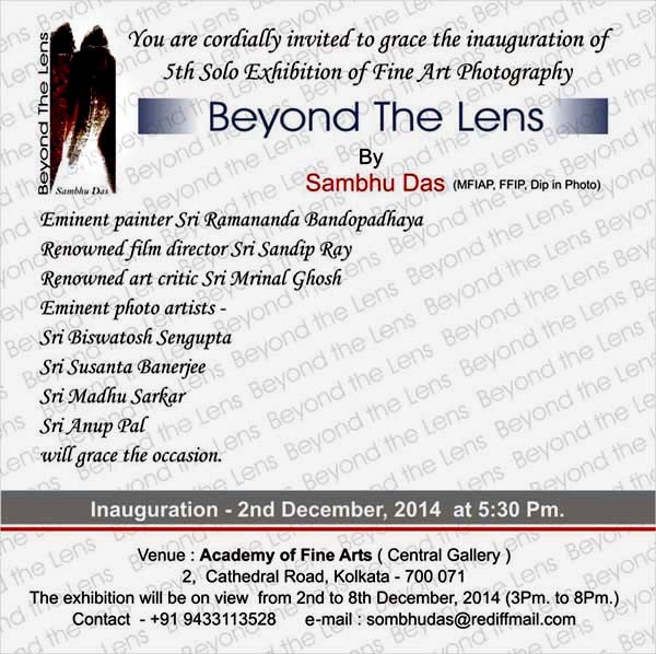 Beyond the Lens – 2014